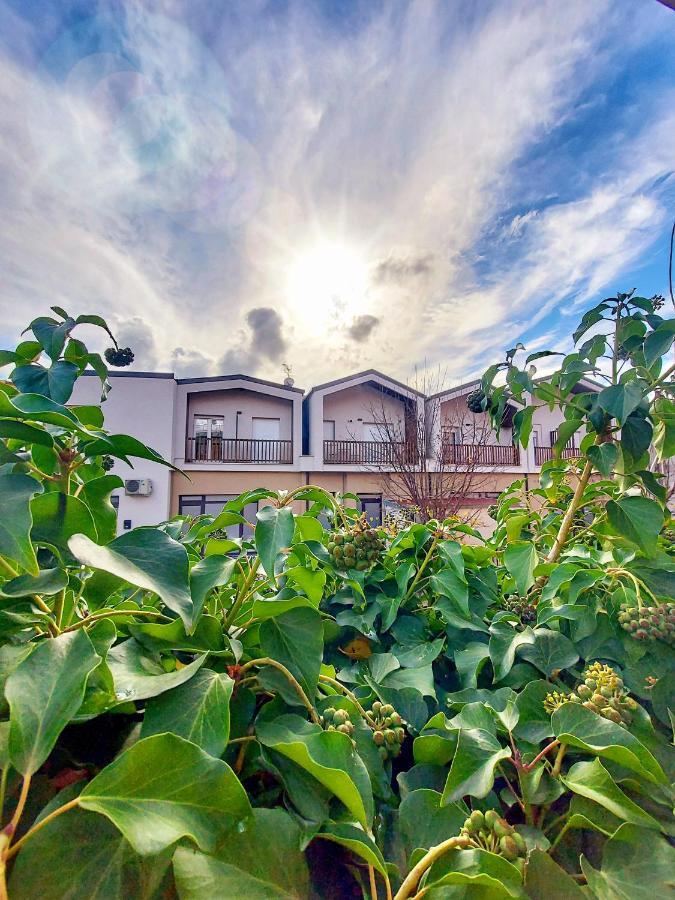 La Ginestra C&B House Apartment Castel Di Sangro Exterior photo